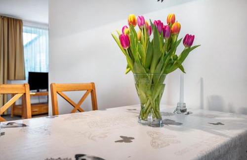 Dreiangel Apartment | Ferienwohnung Alte Bäckerei am Eck