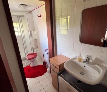 Tengen Apartment | Ferienwohnung am Bach Biberstüble