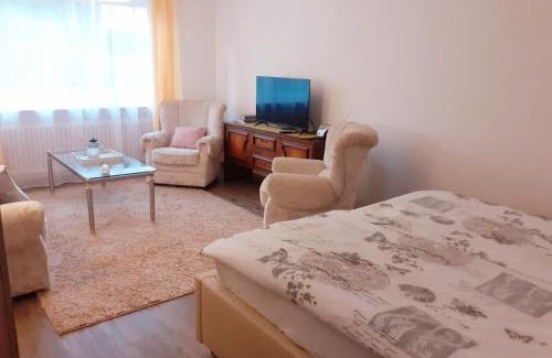 Gailingen Apartment | Ferienwohnung am Kurpark, Gailingen