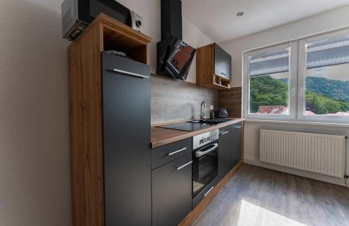 Thale Apartment | Ferienwohnung am Steinbach 2
