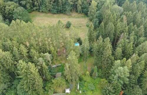Sebnitz Apartment | Ferienwohnung am Wald