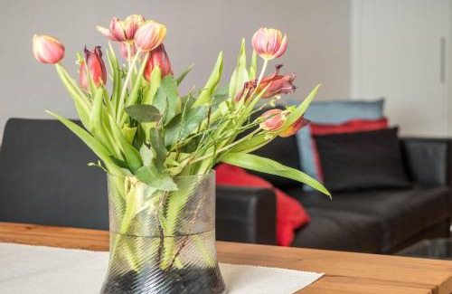 Altstadt Apartment | Ferienwohnung Angelika