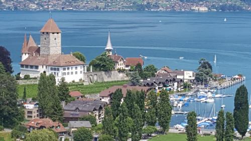 Spiez Apartment | Ferienwohnung Ankerplatz