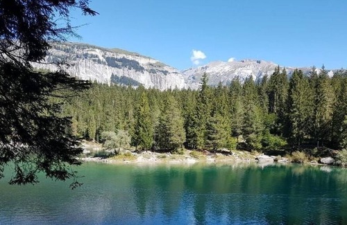 Flims Apartment | Ferienwohnung/app. für 5 Gäste mit 115m² in Flims-waldhaus
