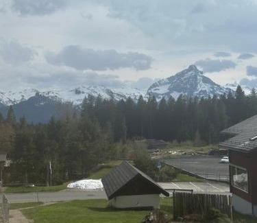 Mitloedi Apartment | Ferienwohnung Arvenbüel Bergtraum über Amden