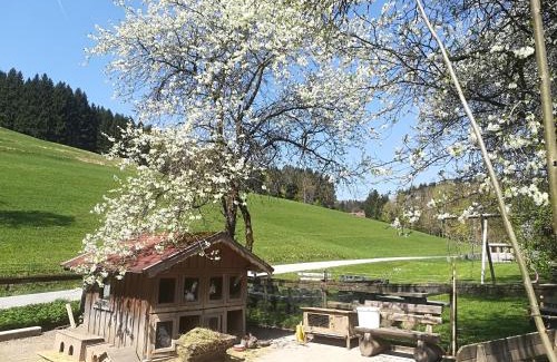 Unterach am Attersee Apartment | Ferienwohnung Grubinger