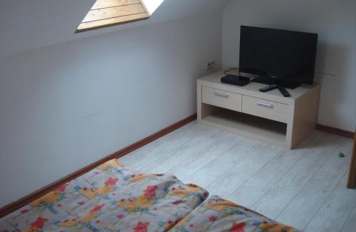 Cranzahl Apartment | Ferienwohnung Auris