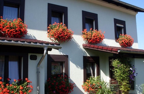 Gohrisch Apartment | Ferienwohnung Bayer