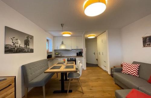 Steibis Apartment | Ferienwohnung Bergzeit