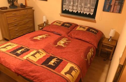 Dandorf Apartment | Ferienwohnung Boddenzander