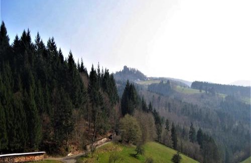 Seelbach Apartment | Ferienwohnung Burgblick