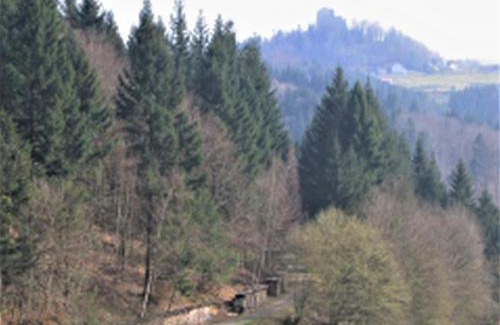 Seelbach Apartment | Ferienwohnung Burgblick