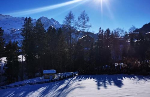 Adelboden Apartment | Ferienwohnung Crea