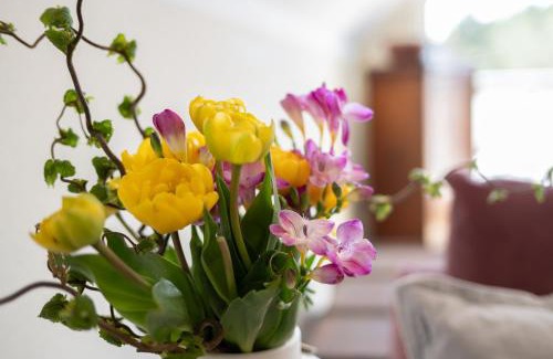 Born auf dem Darss House | Ferienwohnung Dünenrose