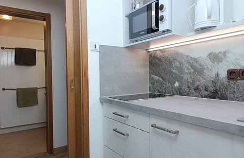 Verwaltungsgemeinschaft Hornergruppe Apartment | Ferienwohnung Nebelhorn - Apartments im Jagdhof