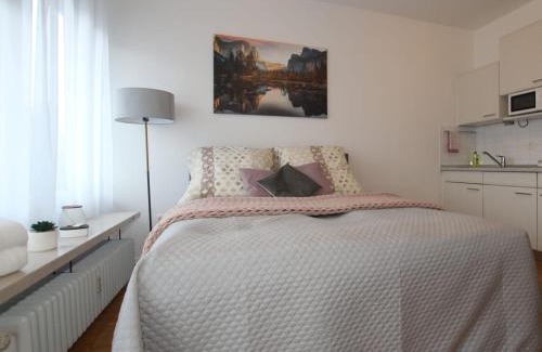Freilassing Apartment | Ferienwohnung