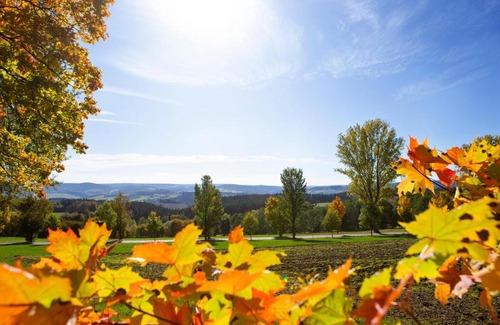 Gruenhain-Beierfeld Apartment | Ferienwohnung im Erzgebirge