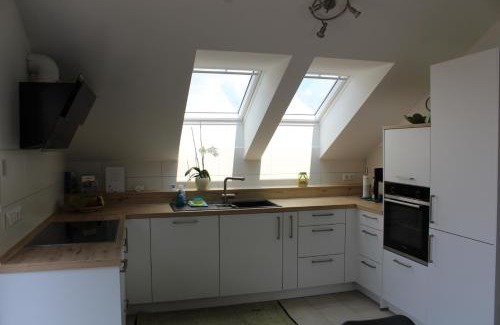Uhldingen-Muehlhofen Apartment | Ferienwohnung Seelicht