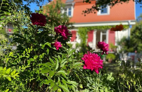 Wangen im Allgaeu Apartment | Ferienwohnung Beletage