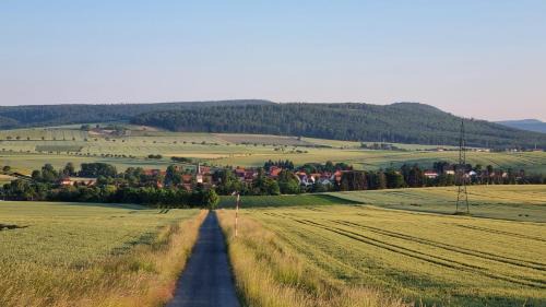 Hildesheim District Apartment | Ferienwohnung Despetal