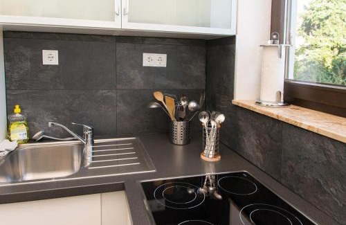 Neuwied Apartment | Ferienwohnung direkt am Rhein in Neuwied bei Koblenz