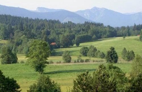 Bad Bayersoien Apartment | Ferienwohnung für 3 Personen in Bad Bayersoien, Bayern