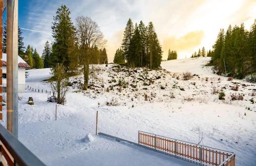 Feldberg Apartment | Ferienwohnung Feldberg Schwarzwald