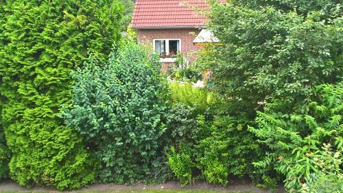 Bockhorn Apartment | Ferienwohnung Fuchskuhle