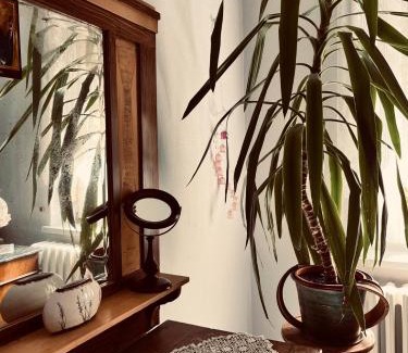 Naumburg Apartment | Ferienwohnung Geister