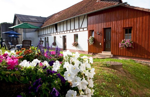 Erbach Apartment | Ferienwohnung Grüne Wiese - Ferienwohnungen Elsbacher Hof