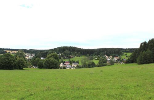 Geyer Apartment | Ferienwohnung Greifenbach, Gartennutzung, Haustiere willkommen