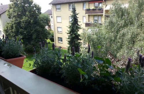 Weil am Rhein House | Ferienwohnung Grimmer