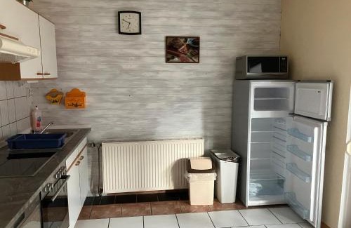 Bad Goisern Apartment | Ferienwohnung Haus Cerny