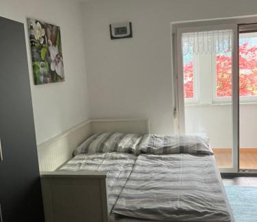 Bad Goisern Apartment | Ferienwohnung Haus Cerny