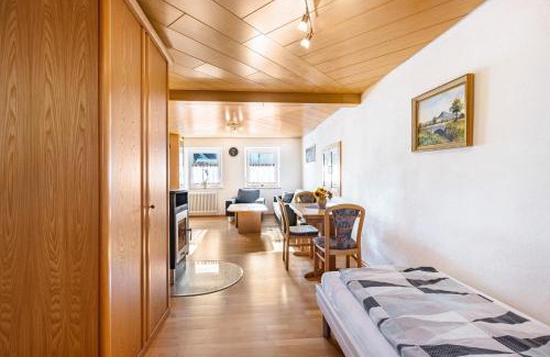 Engen Apartment | Ferienwohnung Hewenpanorama 1
