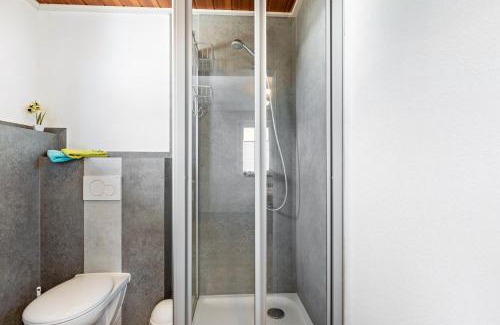 Engen Apartment | Ferienwohnung Hewenpanorama