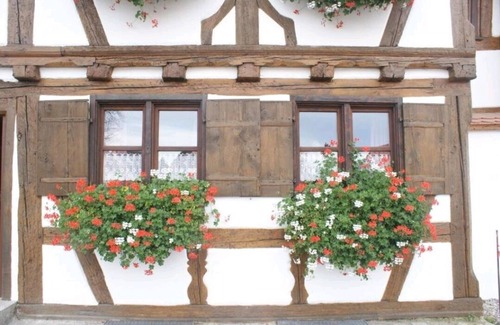 Unterallgau Apartment | Ferienwohnung Hiemer