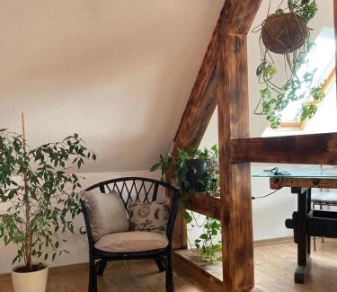 Weidhausen Apartment | Ferienwohnung Ho Men No One