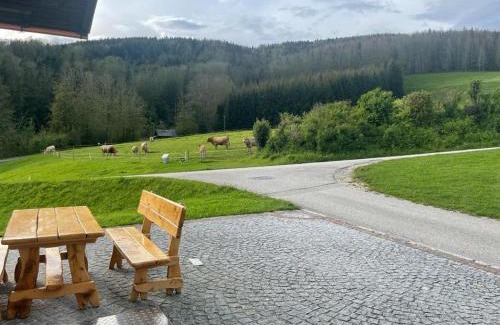 Pinsdorf Apartment | Ferienwohnung ,Hoizmann`