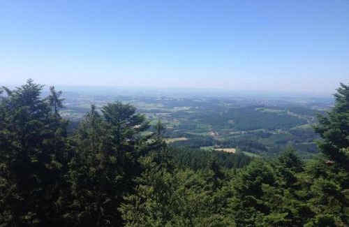 Drachselsried Apartment | Ferienwohnung im Bayerischen Wald mit Balkon