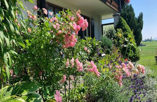 Rofleuten Apartment | Ferienwohnung im Haus Dorn-Röschen