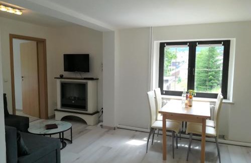 Oberwiesenthal Apartment | Ferienwohnung Jump INN