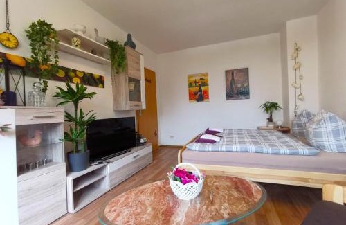 Radebeul Apartment | Ferienwohnung Kaltschmidt