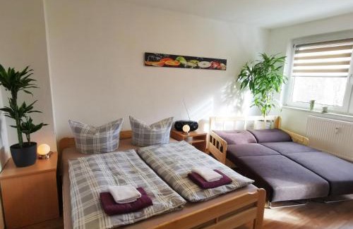 Radebeul Apartment | Ferienwohnung Kaltschmidt