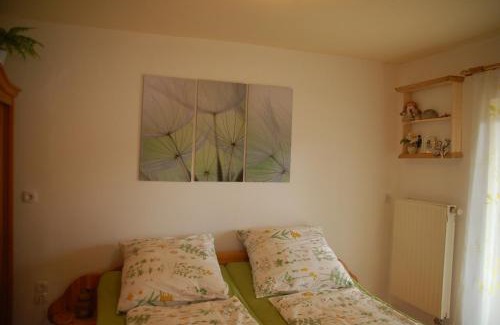 Gohrisch Apartment | Ferienwohnung Katzstein
