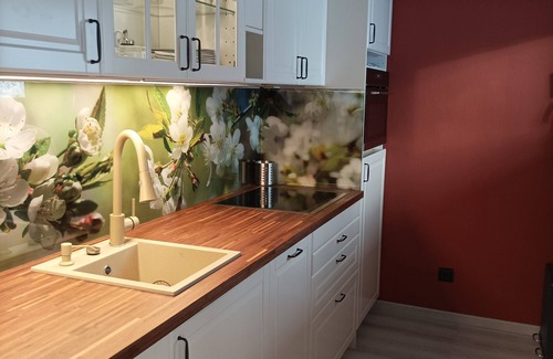 Braunlage Apartment | Ferienwohnung Kibo