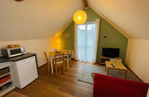Upper Middle Rhine Valley Apartment | Ferienwohnung „Klein aber fein“