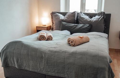 Plauen Apartment | Ferienwohnung Klinikblick