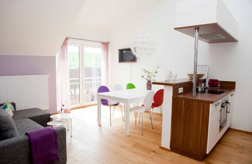 Erbach Apartment | Ferienwohnung Kornspeicher - Ferienwohnungen Elsbacher Hof