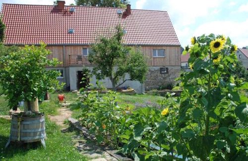 Schoenfeld-Weissig Apartment | Ferienwohnung Kunsthof Borsberg - nicht für Monteure und Handwerker geeignet